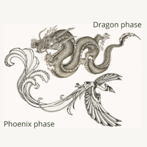 Dragon and Phoenix phase, Dragon and Phoenix phase theory