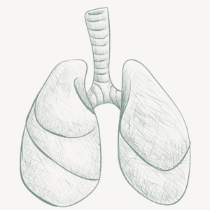 The science of Lungs meridian, lungs meridian and acupuncture points, lungs psychology